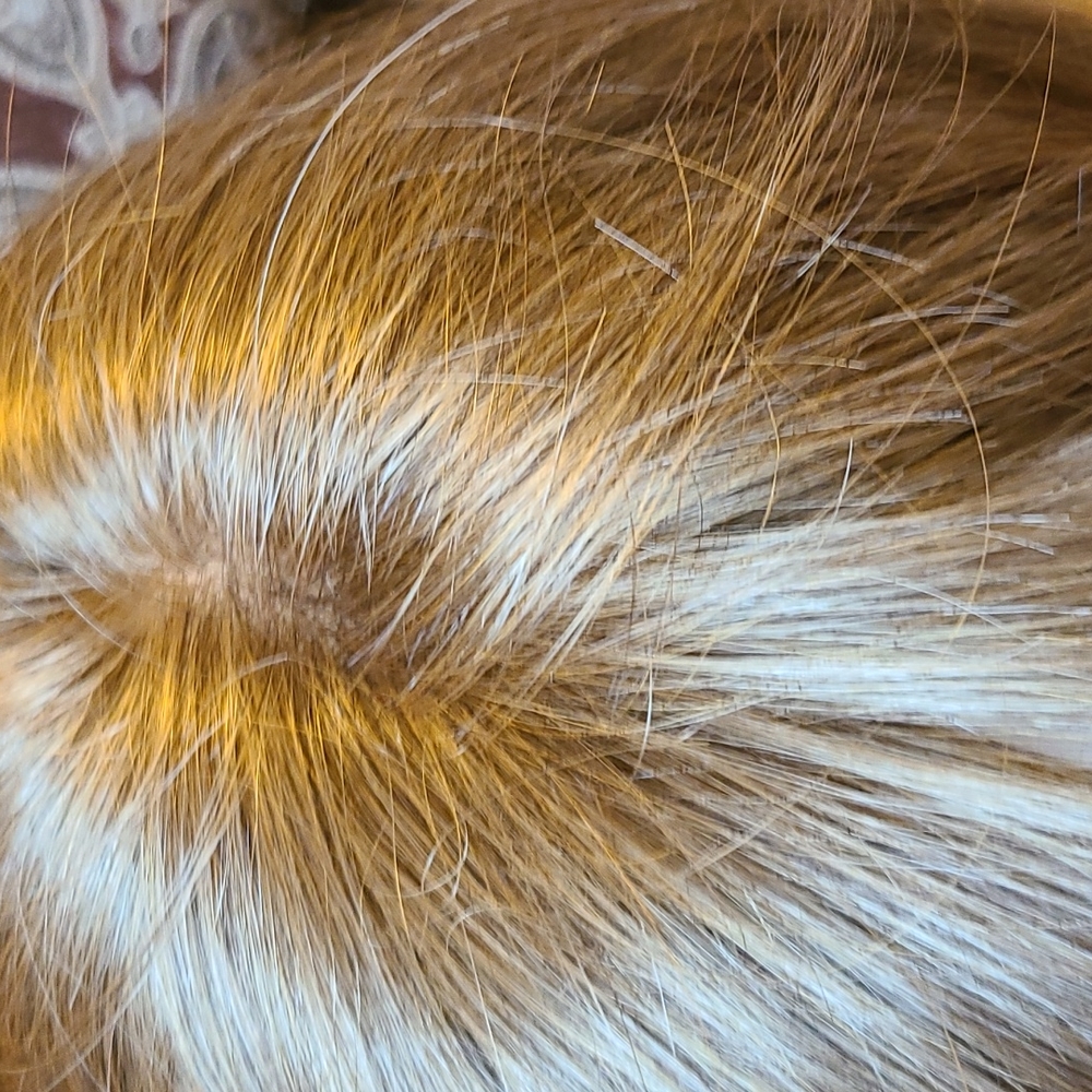 Synthetic long blonde wig full monofilament top